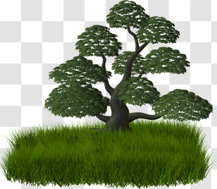 Tree - Lush Tree In Green Grass Transparent PNG