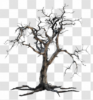 Dead Tree - A Bare And Dry Tree With Branches Transparent PNG