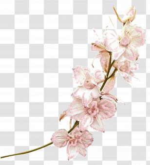 Cut Flowers Floral Design Adoration Artificial Flower - Blossom - Mystique Transparent PNG