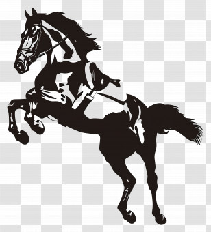 Jumping Horse Silhouette - Black Silhouette Of Rearing Horse Transparent PNG