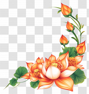India Flower - Lotus Flowers And Buds Transparent PNG