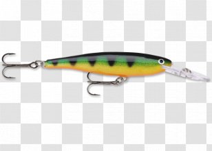 Spoon Lure Plug Rapala Fishing Baits & Lures Surface - Fish Transparent PNG