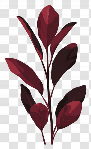 Sorrel - Red Decorative Plant Leaves Illustration Transparent PNG
