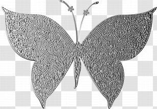 Butterfly Moth Color Gold Clip Art - Moths And Butterflies - Flying Wings Transparent PNG
