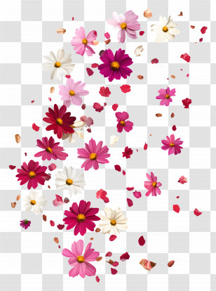 Falling Flowers - Colorful Falling Flower Petals Design Transparent PNG