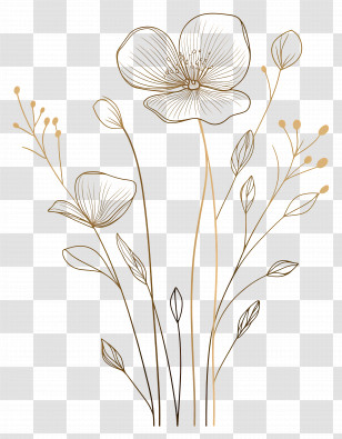 Gold Floral Border - Gold Line Art Flowers In Minimalist Style Transparent PNG