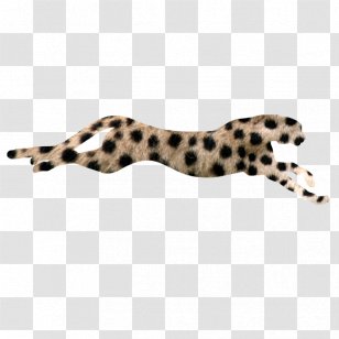 Cheetah Flash Of Two Worlds Download 30 November Transparent PNG