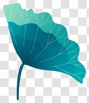 Lotus Leaf - Single Leaf With Detailed Veins Transparent PNG