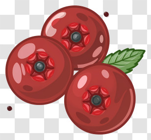 Red Berries - Cranberry Artwork With Green Leaf Accent Transparent PNG