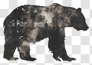 Bear Silhouette - Bear Silhouette With Forest Transparent PNG