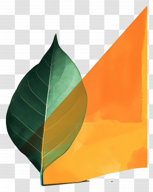 Green Leaf - Green Leaf With Orange Background Transparent PNG