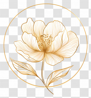 Gold Floral Pattern - Golden Line Art Flower Transparent PNG