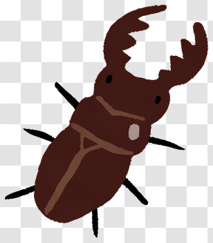 Insect - Stag Beetle Cartoon Illustration Transparent PNG
