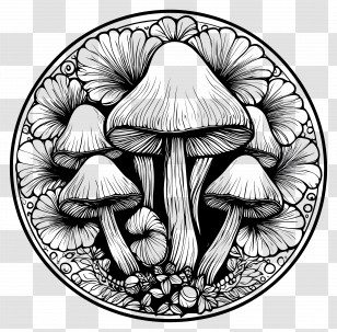 Mushroom Coloring Page - Mushroom Circle Art Transparent PNG