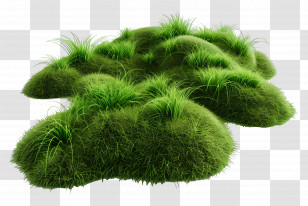 Grass Ground - Lush Green Moss Clumps Transparent PNG