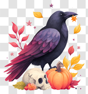 Halloween Raven Pumpkin - Spooky Raven With Pumpkin And Skull Transparent PNG