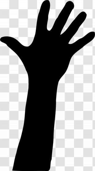 Hand Clip Art - Photography Transparent PNG