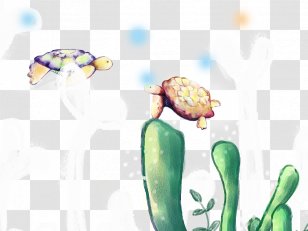 Turtle - Painted - Two Turtles Transparent PNG