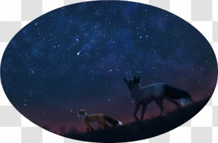 Sky Phenomenon - Starry Transparent PNG