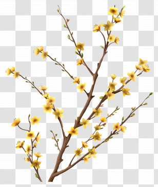 Small Yellow Flowers - Yellow Flowering Branches For Spring Transparent PNG