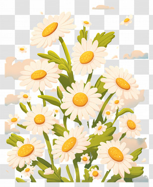 Daisy Day - Cheerful White Daisy Flowers Transparent PNG