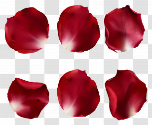 Flower Petals - Red Flower Petals Transparent PNG