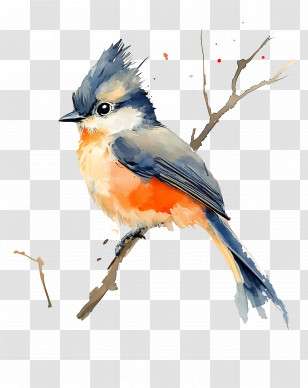 Watercolor Bird - Blue And Orange Bird On Branch Transparent PNG