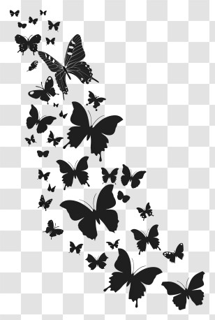 Butterfly Silhouette - Black Butterfly Silhouettes Design Transparent PNG