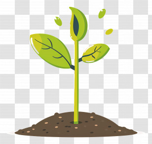 Sprout - Green Seedling Sprouting From Soil Transparent PNG