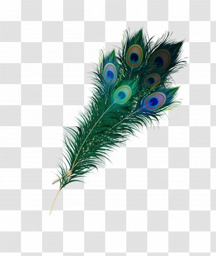 Bird Peafowl Drawing DeviantArt - Feather - Peacock Transparent PNG