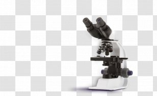 Optical Microscope Optics Digital Stereo - Gloves Transparent PNG