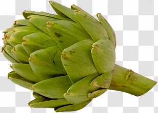 Artichoke Animation Vegetable Food - Plant - Artichokes Transparent PNG