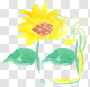 Vase - Bright Yellow Sunflower With Green Leaves Transparent PNG