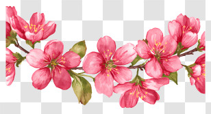 Cherry Blossom Garland - Branch Of Pink Blossoming Flowers Transparent PNG