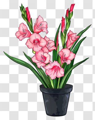 Gladiolus - Beautiful Pink Gladiolus Flower In Pot Transparent PNG