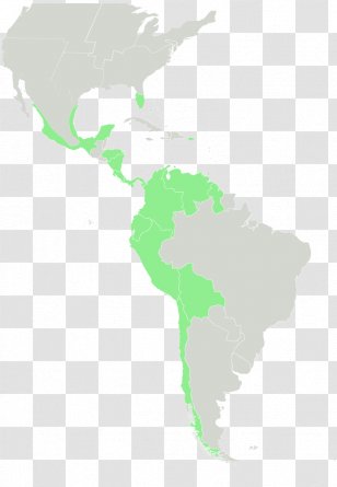 Latin America And The Caribbean United States South Central - Americas Transparent PNG