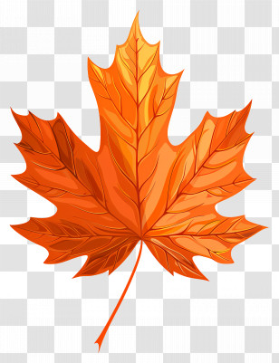 Maple Leaf - Vibrant Orange Maple Leaf Illustration Transparent PNG