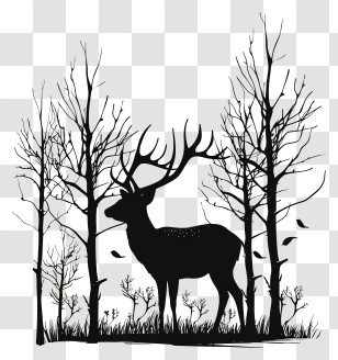 Deer Silhouette - Deer In Forest Silhouette Transparent PNG