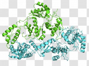 Reverse Transcriptase RNA Enzyme Transcription Virus - Dna Polymerase - Diamond Crystal Structure Transparent PNG