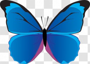 Monarch Butterfly Papillon Dog Morpho Peleides Clip Art - Eurema Hecabe Transparent PNG