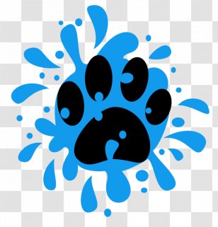 Pony Fluttershy DeviantArt Cat Winged Unicorn - Animal Footprints Transparent PNG