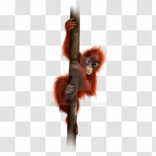 Orangutan Drawing Painting DeviantArt Digital Art - Deviantart Transparent PNG