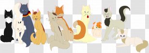 Cat Turkey Photography - Frame Transparent PNG