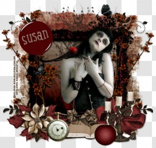 Album Cover Art - Sandra Newman Transparent PNG