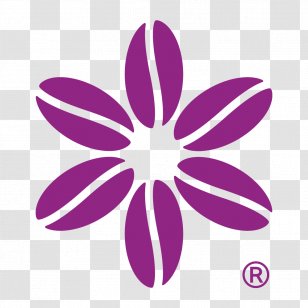Greeting & Note Cards Lace The Mendrin Group - Flowering Plant - Bean Transparent PNG