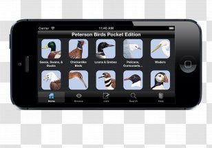 Smartphone Handheld Devices Portable Media Player Multimedia Electronics Accessory - Birds House Transparent PNG