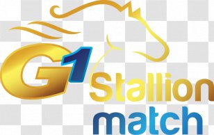 Thoroughbred Stallion Mare Horse Racing Stud - Match Transparent PNG