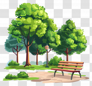 City Park Scene - Park Bench With Green Trees In A Relaxing Forest Illustration Transparent PNG