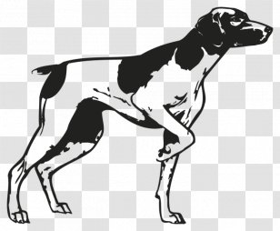 Sloughi Dog Breed Hunting Cross-stitch - Grooming - Herding Transparent PNG