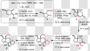 Lactone Diisobutylaluminium Hydride Jiadifenolide Organic Chemistry Triflate - Chemical Synthesis - Triangle Transparent PNG